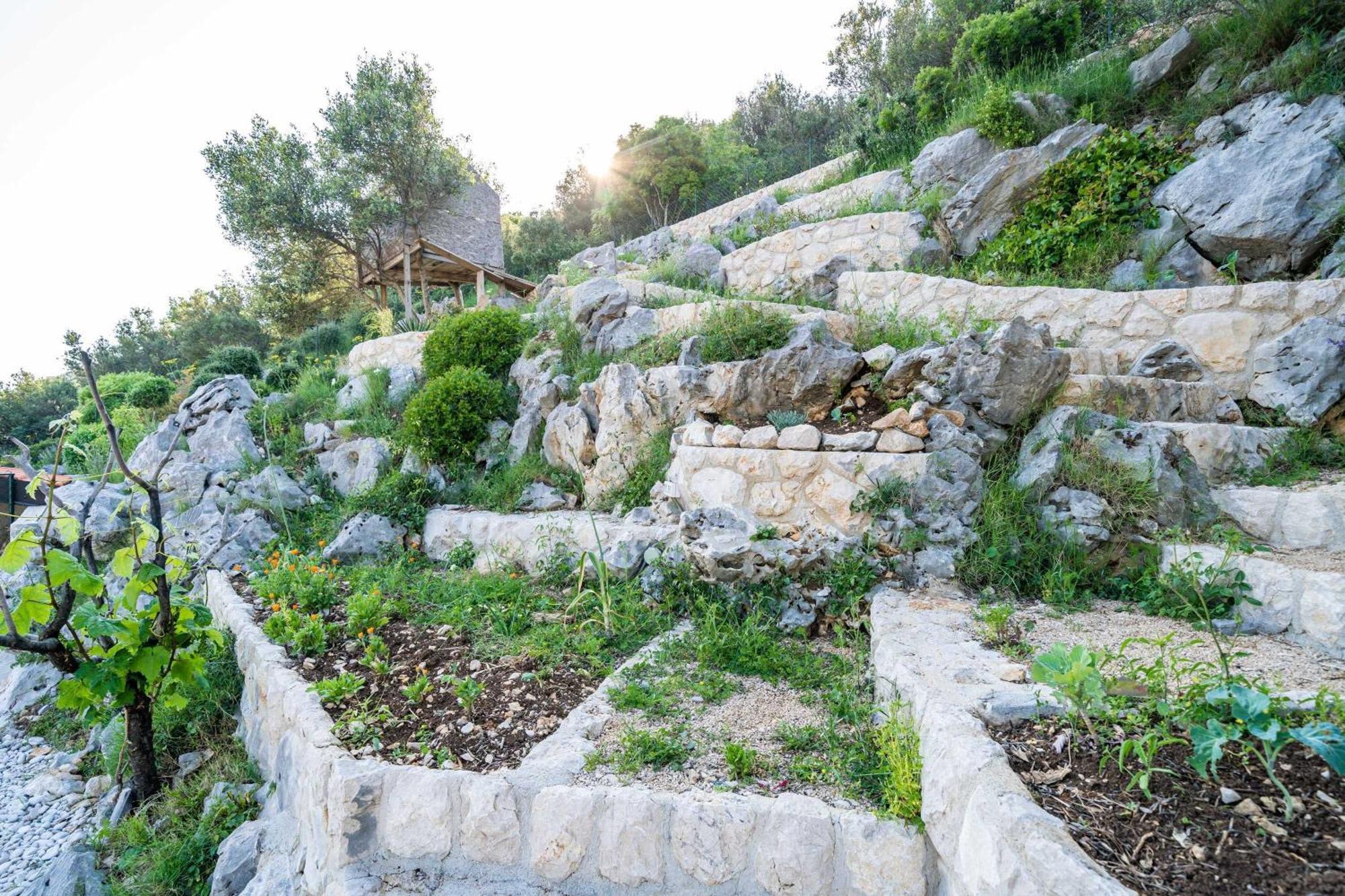 Apartments Villa Arcadia Dubrovnik Chambre photo